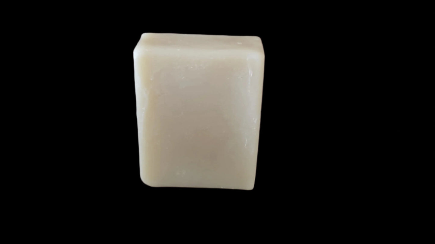 Shampoo and Conditioner Bars
